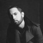 artist image it's not so bad cummrs The Marshall Mathers LP
