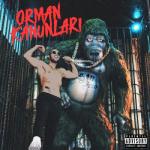 album image Mahallemiz Esmer ORMAN KANUNLARI