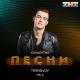 Terry - Megapolis