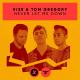 VIZE, Tom Gregory - Never Let Me Down