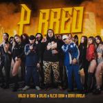 album image P rreo (Turreo Edit) P Rreo (feat. Omar Varela) - Single