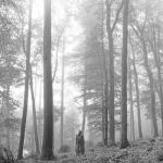 album image cardigan (Instrumental) folklore