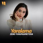 poster Yaralama Yaralama